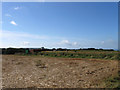 Blatchington Reservoirs