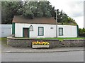 Hall at Cappagh