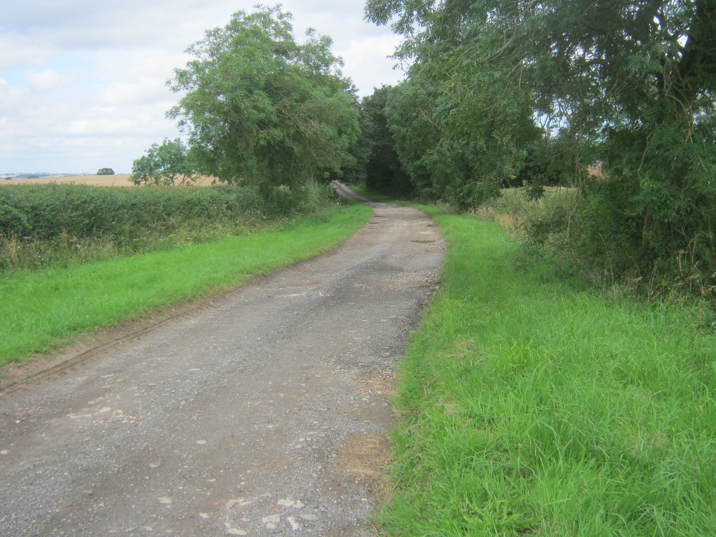 Salters Lane north of Fir Tree Farm © peter robinson Geograph