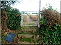 Steps up to a path through crops, Kingstone