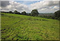 Path to Honiton