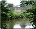 Rainfall on the River Rother