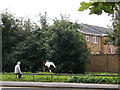 Man and Horse, New Beckton