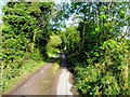 H6123 : Road at Drumbrean by Kenneth  Allen