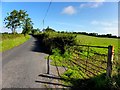 H6024 : Road at Drumlinney by Kenneth  Allen