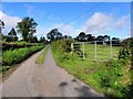 H6021 : Road at Corranewy by Kenneth  Allen