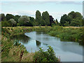 River Ember, East Molesey