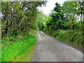 H6824 : Secluded road, Dromore Townland by Kenneth  Allen