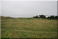 Cliff top west of Pegwell