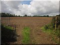 Tilled field near Widworthy Park