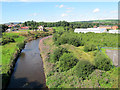 River Roch, looking north