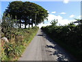 Barony Hill Trail near Whitehill