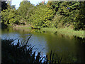 Basingstoke Canal, Woodham