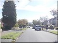 Canford Drive - viewed from Westlands Drive