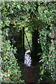 Old footpath swing gate near Ash