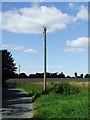 TL7156 : Telegraph Pole by Keith Evans