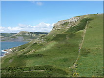 SY9575 : Worth Matravers: stepts up to Emmetts Hill by Chris Downer