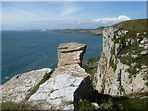 SY9575 : St. Aldhelm’s Head: a dramatic cliff by Chris Downer