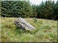 NY4383 : The Bounder Stone in Tinnisburn Forest by Walter Baxter
