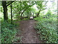 Foot bridge over the River Frome