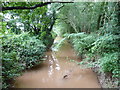 A muddy River Frome near Canon Frome