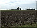 Farmland near Hemswell