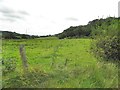 Fogart Townland