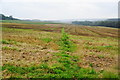 Path across a harvested field