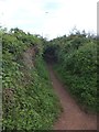 South West Coast Path on the edge of St Mary