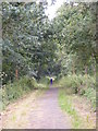 SO9481 : Uffmoor Wood Path by Gordon Griffiths