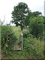 Wooden Footbridge