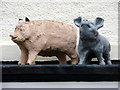 TL3516 : Pig Ornaments at the Sow and Pigs Public House, Thundridge, Hertfordshire by Christine Matthews