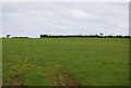 Farmland, Buckland Court