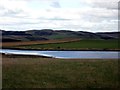 Rough grazing around Williestruther Loch near Pilmuir