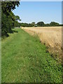 Milton Keynes Boundary Walk towards Cranfield