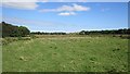 NO4909 : A field beside Lingo Den by Richard Webb