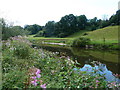 Reflections on the River Wye