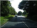 Winchester Road at Shedfield Common