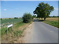 Buttway Lane looking towards Cliffe