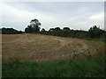 Farmland off Cliff Lane