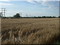 Farmland south of Pilham