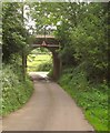 Railway bridge, Lodge Lane