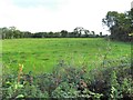 Tullymuck Townland