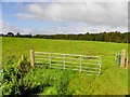 Gate to a field, Tullymuck