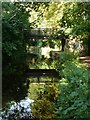 Chesterfield Canal bridge 54B