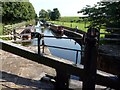 Waiting for Forest Middle Top Lock to fill