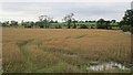 A waterlogged field