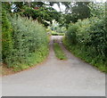 Short lane from the B4558 to the canal and Canal Cottages near  Lower Cross Oak