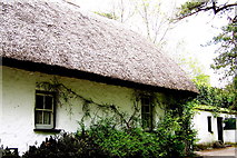 R4560 : Bunratty Folk Park - Site #7 - Shannon Farmhouse by Suzanne Mischyshyn