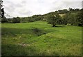 Umborne Brook valley